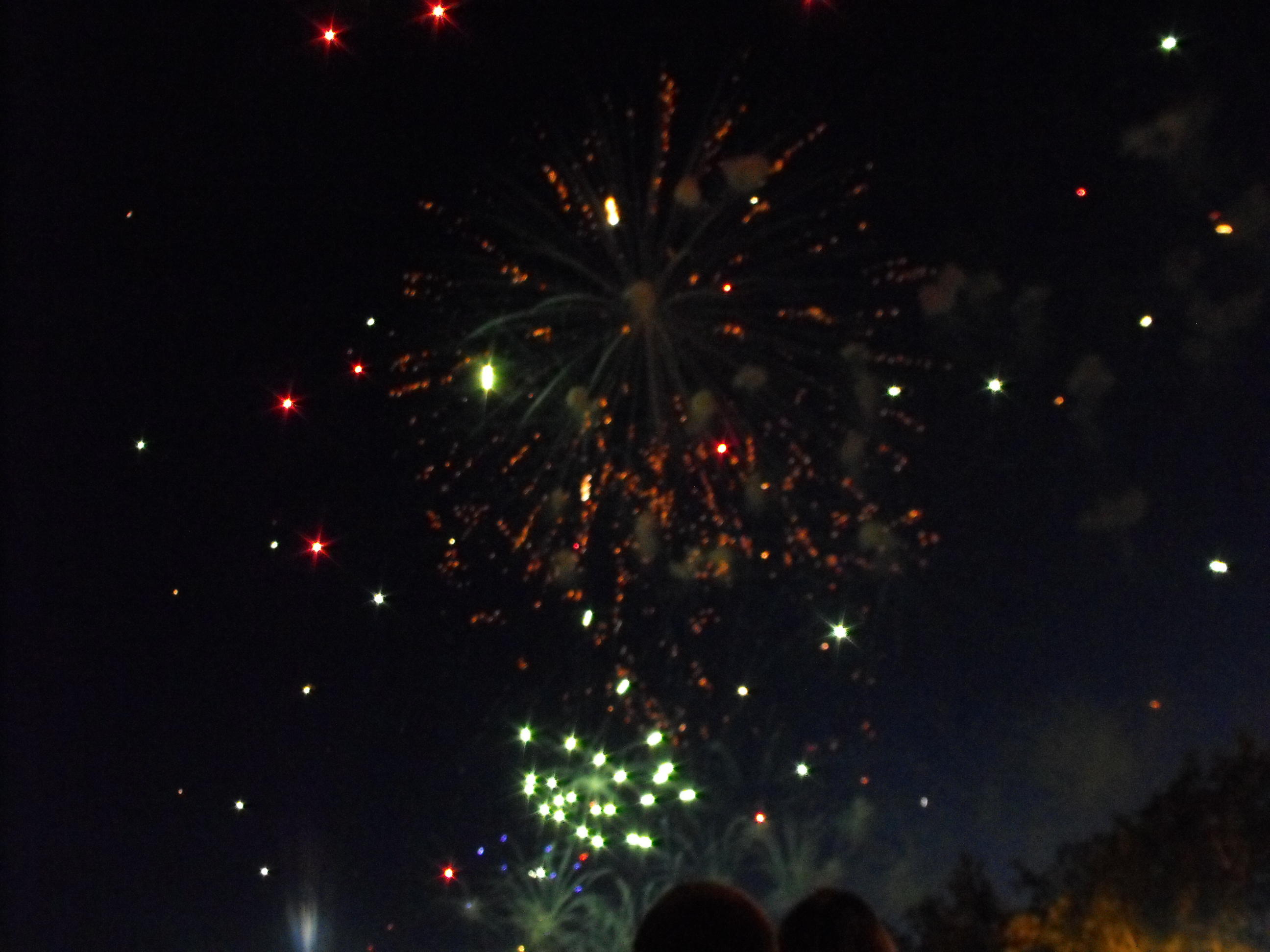 ./2010/Fourth of July/4th July Fireworks Wilm 0006.JPG